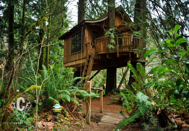 TCF_SFS_021912_TreehousePoint2