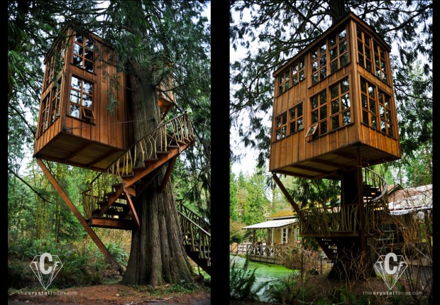 TCF_SFS_021912_TreehousePoint3-4