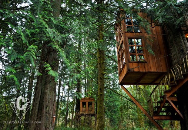 TCF_SFS_021912_TreehousePoint5
