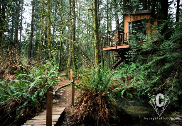 TCF_SFS_021912_TreehousePoint6