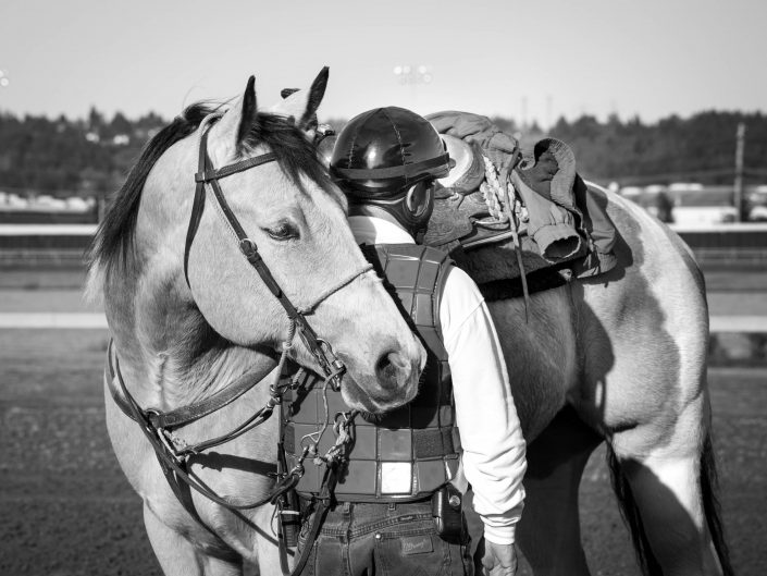 horse, horse races, jockey