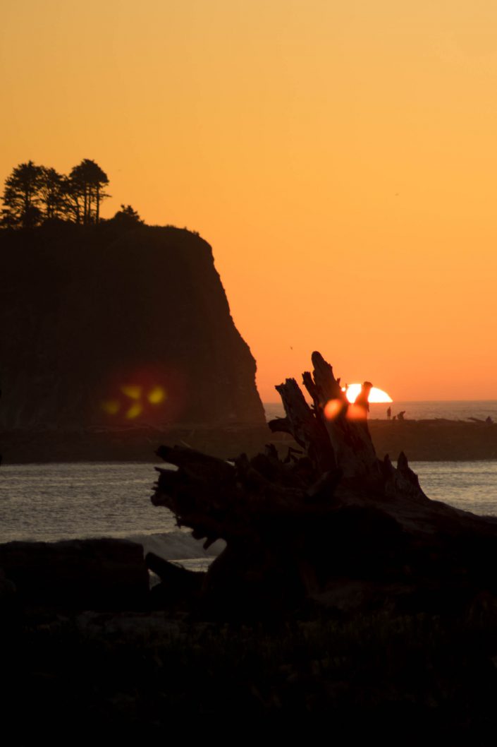 Washington Coast, coast, first beach, la push, ocean, quileute indian reservation, rialto beach