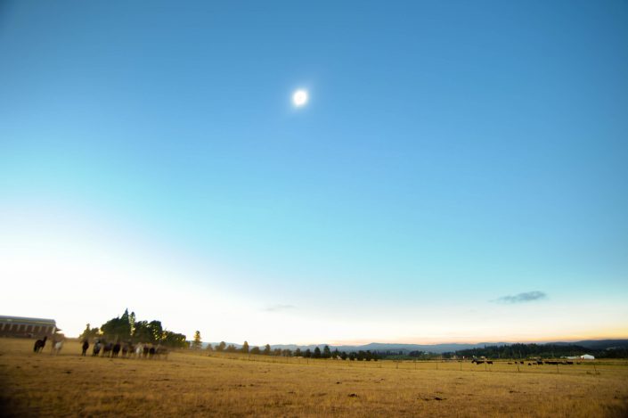 Oregon, eclipse, nature, pacific northwest, sun