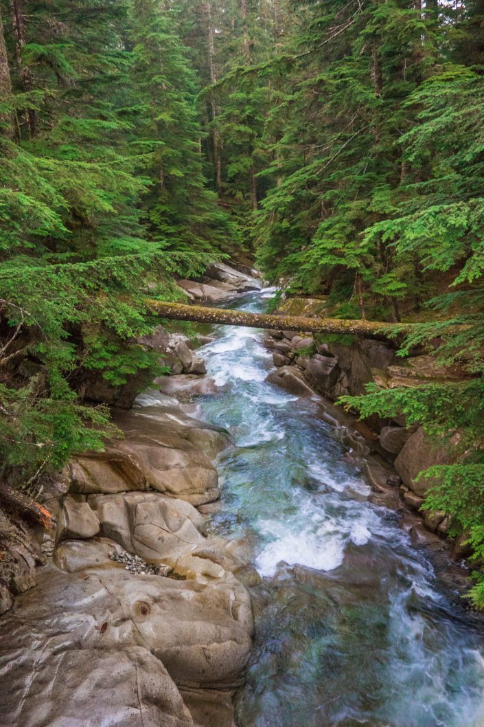 Denny Creek, Washington, landscape, nature, pacific northwest, river, trees, water