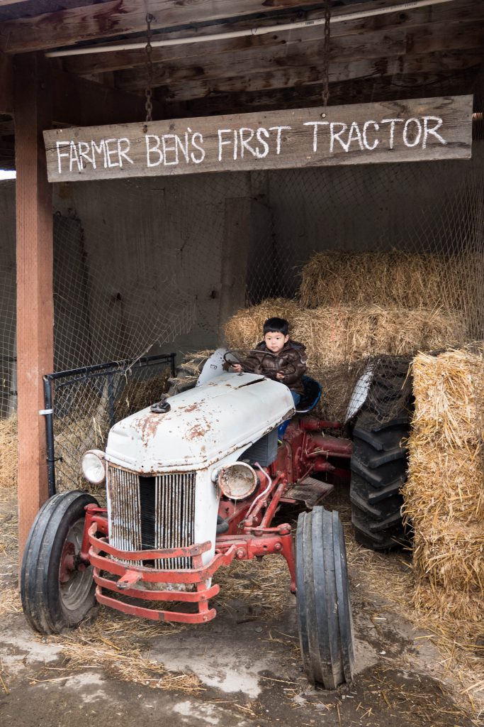 barn, boy, child, pacific northwest, tractor, washington state