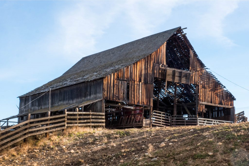Washington, barn, barns, conway old barn, corral, eastern washington, rustic, thorp, wooden barn