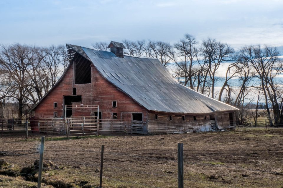 Washington, barn, barns, ellensburg, metal roof, old barn, rustic, wooden barn