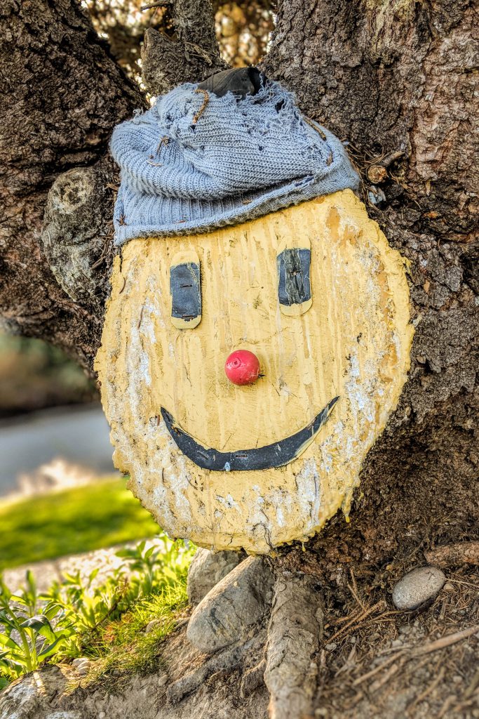 face on wood, happy tree, smile, smiley face, tree trunk