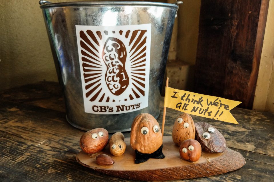 ~ Issue 373: CBs Nuts ~