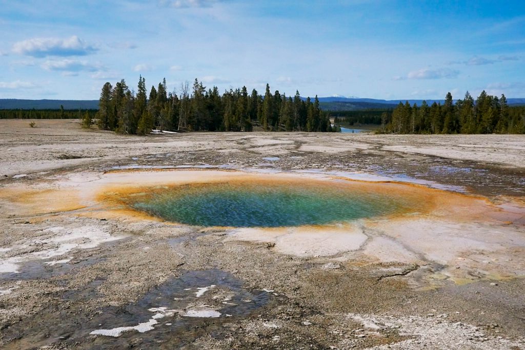 geyser, grand pristmatic springs, hot springs, opal pool, yellowstone, yellowstone national park