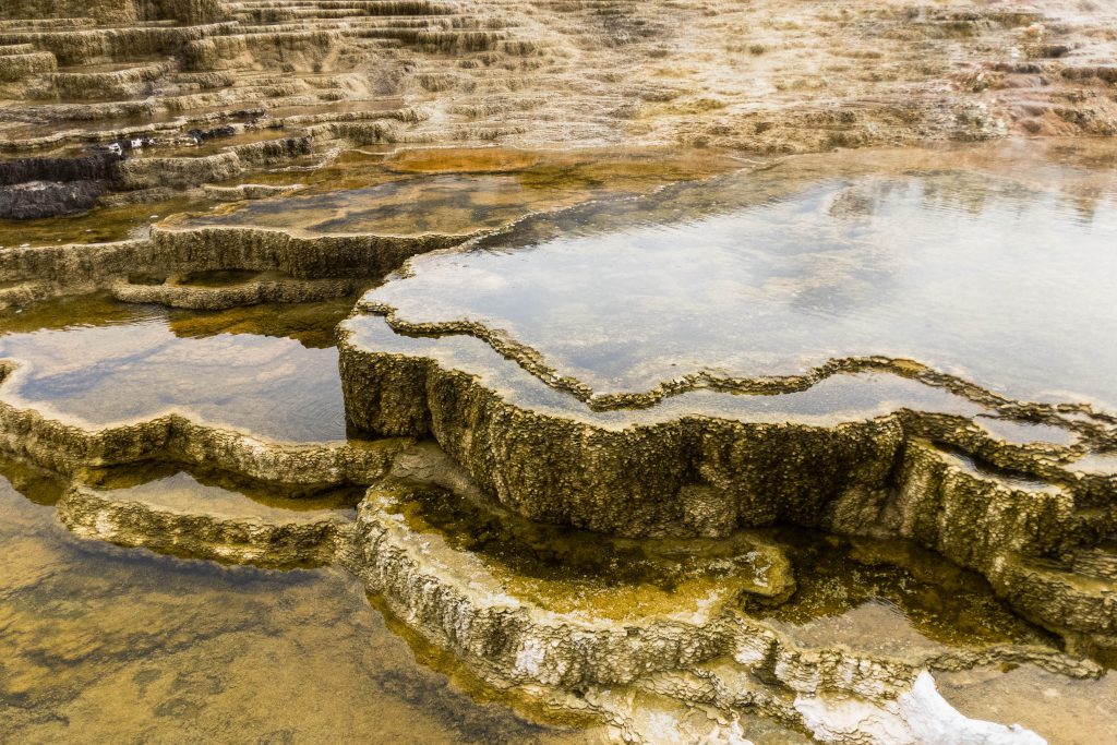mammoth hot springs, yellowstone