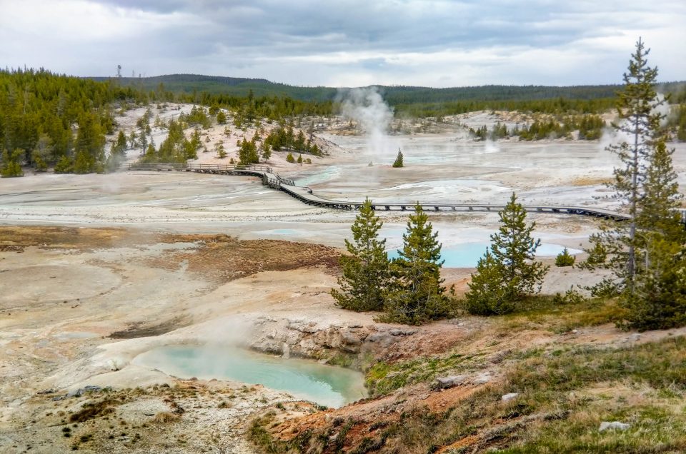 ~ Issue 379: Yellowstone Part V