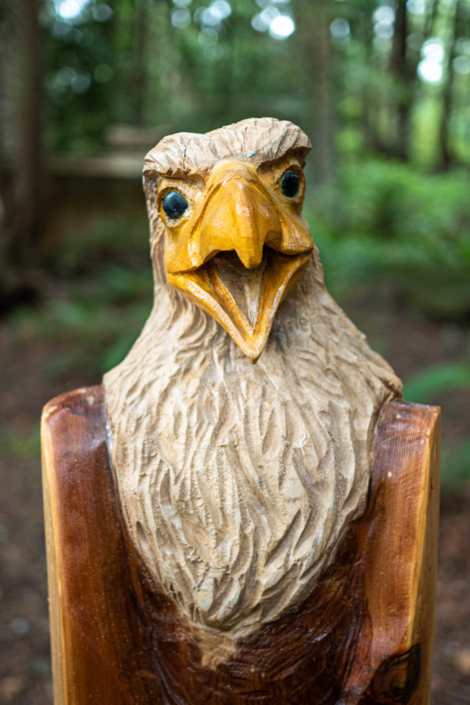 eagle carving, eagle sculpture, forest, forest eagle, wood carving, wooden eagle