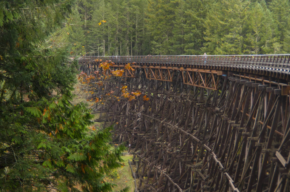 BC, Canada, Kinsol Trestle Bridge, wooden bridge