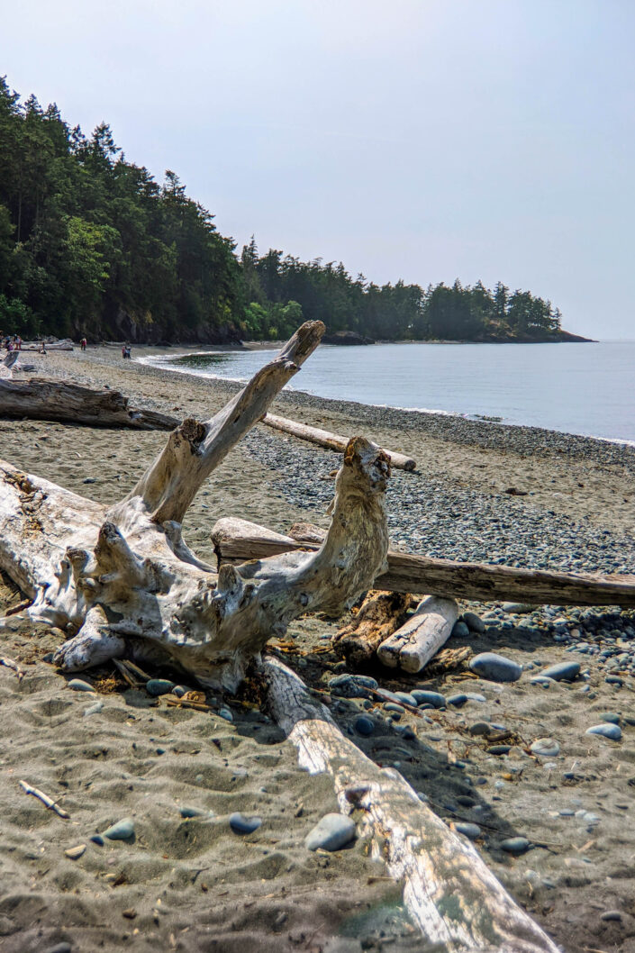 Deception Pass, deception pass bridge, driftwood, north beach