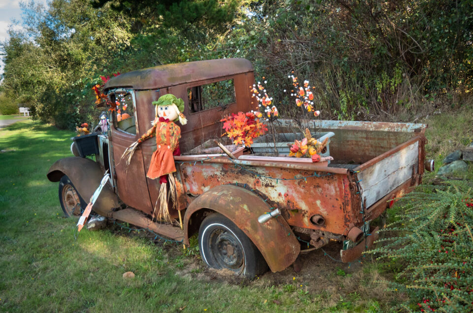 farm, halloween, pumpkin, tractor, truck
