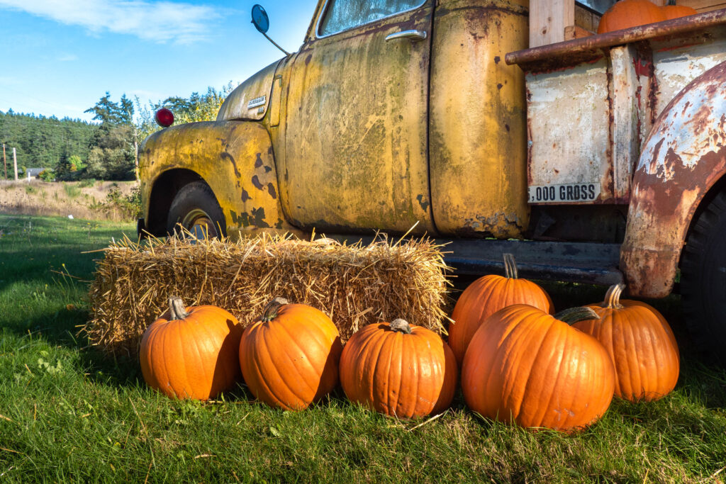 farm, halloween, pumpkin, tractor, truck